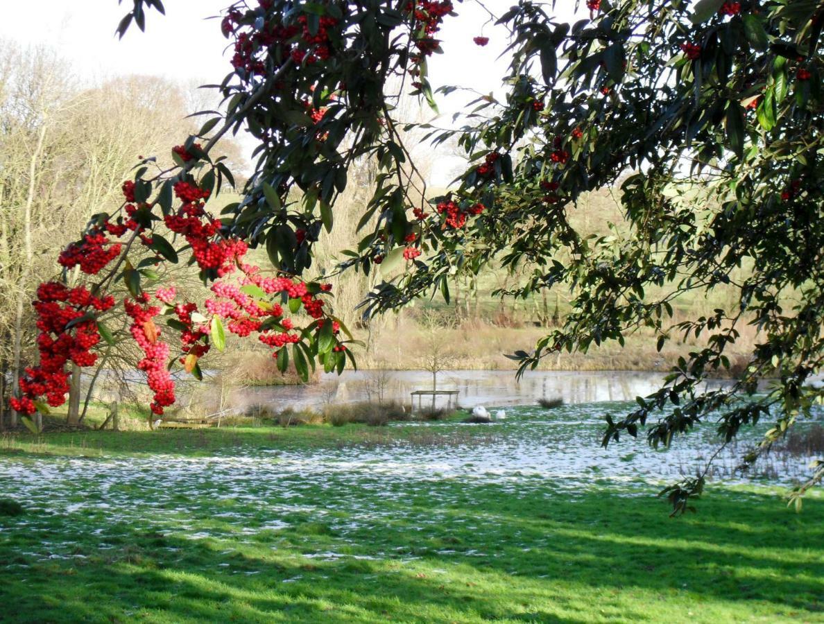 נורוויץ'' Surlingham Lodge Studio Large Family Cottage מראה חיצוני תמונה